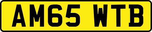 AM65WTB