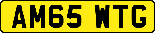 AM65WTG