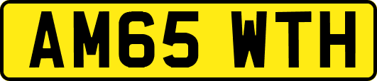 AM65WTH