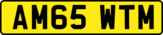 AM65WTM