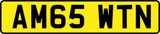 AM65WTN