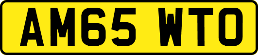 AM65WTO