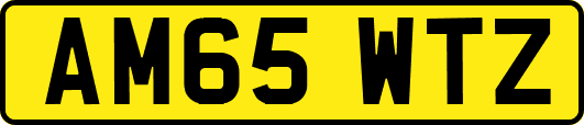 AM65WTZ