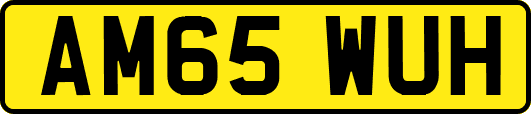 AM65WUH