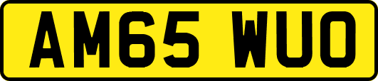 AM65WUO