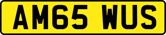 AM65WUS