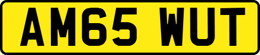 AM65WUT