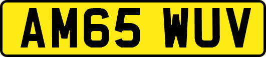 AM65WUV