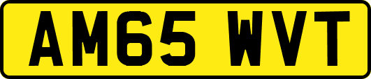 AM65WVT