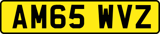 AM65WVZ