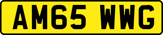 AM65WWG