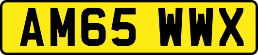 AM65WWX