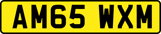 AM65WXM