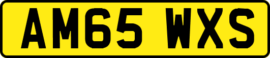 AM65WXS