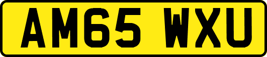 AM65WXU