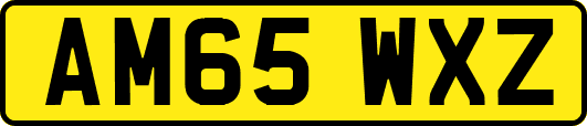 AM65WXZ