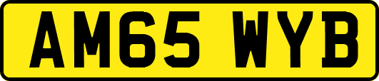 AM65WYB