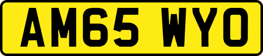 AM65WYO