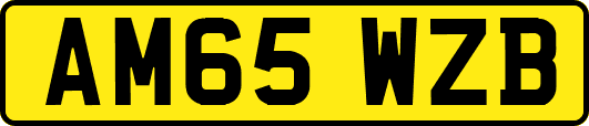 AM65WZB