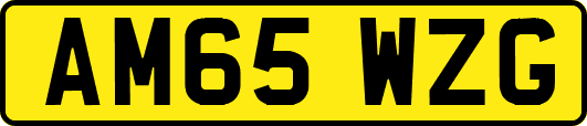 AM65WZG
