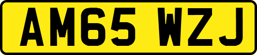 AM65WZJ