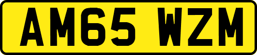 AM65WZM