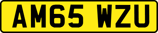 AM65WZU