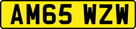AM65WZW