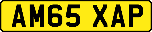 AM65XAP
