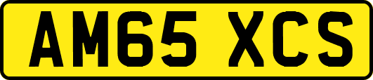 AM65XCS