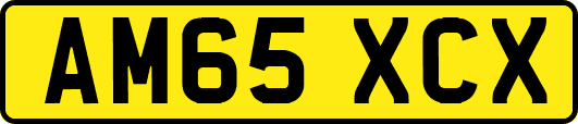 AM65XCX