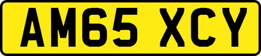 AM65XCY