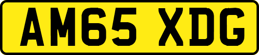 AM65XDG