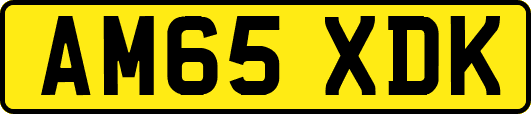 AM65XDK