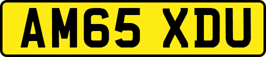 AM65XDU