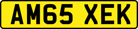 AM65XEK