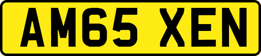 AM65XEN