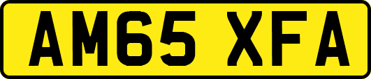 AM65XFA