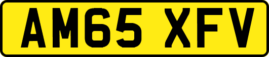 AM65XFV