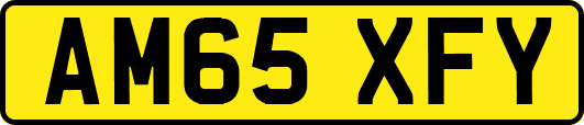 AM65XFY