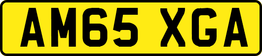 AM65XGA