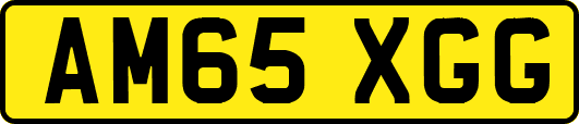 AM65XGG