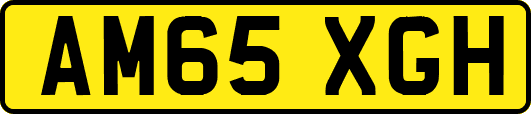 AM65XGH