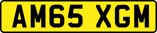 AM65XGM