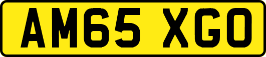 AM65XGO