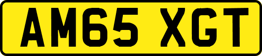 AM65XGT