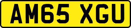 AM65XGU