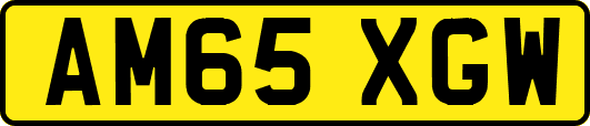 AM65XGW