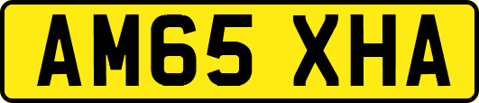 AM65XHA