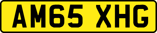 AM65XHG